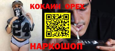 шишки Изобильный