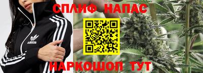 гашик Ирбит