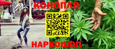 гашик Ирбит