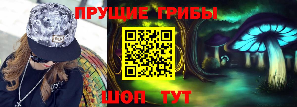 Галлюциногенные грибы GOLDEN TEACHER Лесозаводск